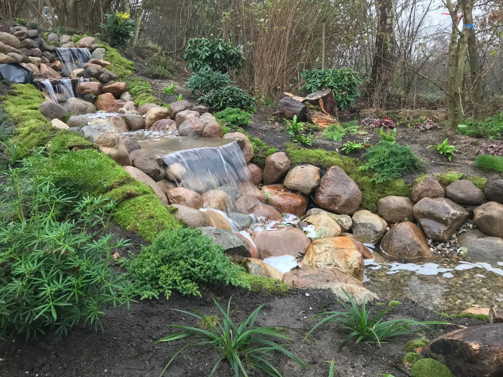 Gärtner Kiel 2 Bachlauf zwischen Stauden in einem ausgeführten Gartenprojekt