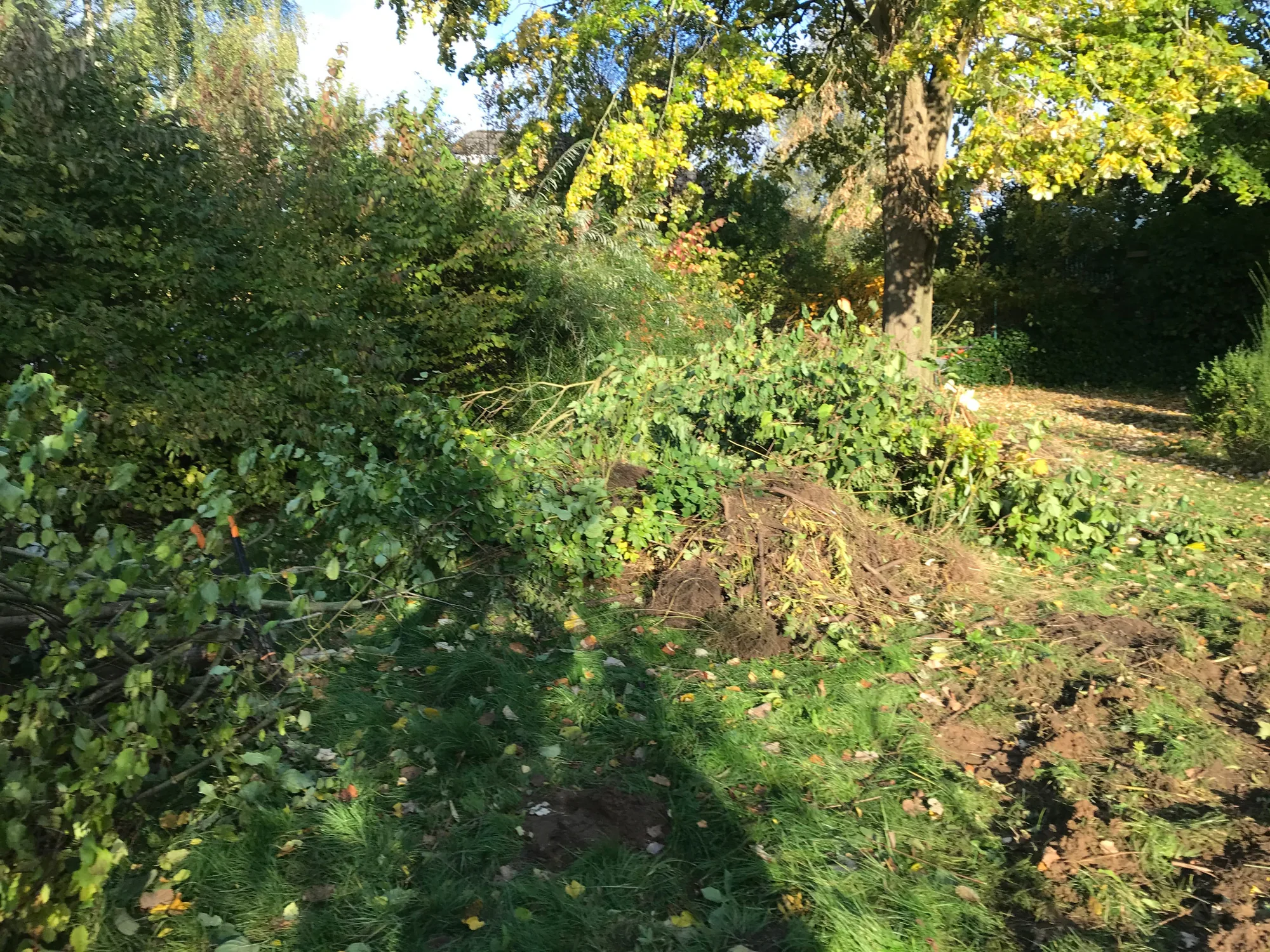 Staudengarten mit 30 m Bachlauf 2 Garten mit gewachsenem Gehölzbestand vor den Arbeiten