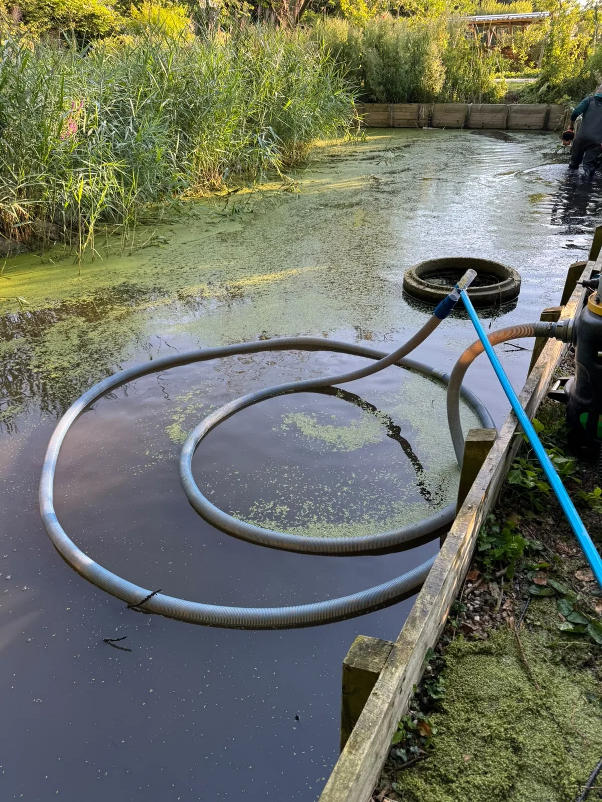 Wasserlinsenteich 8 Ergänzende Arbeiten mit Absaugtechnik