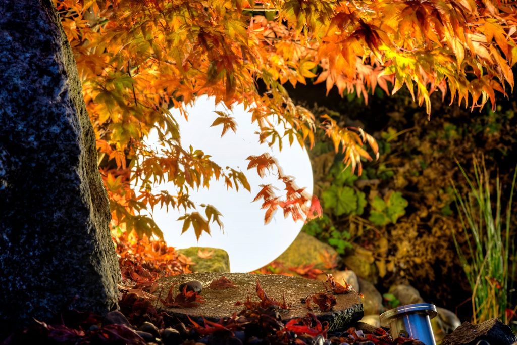 Gartengestaltung Kiel 2 Gartenbeleuchtung und Wasserelemente in Kiel