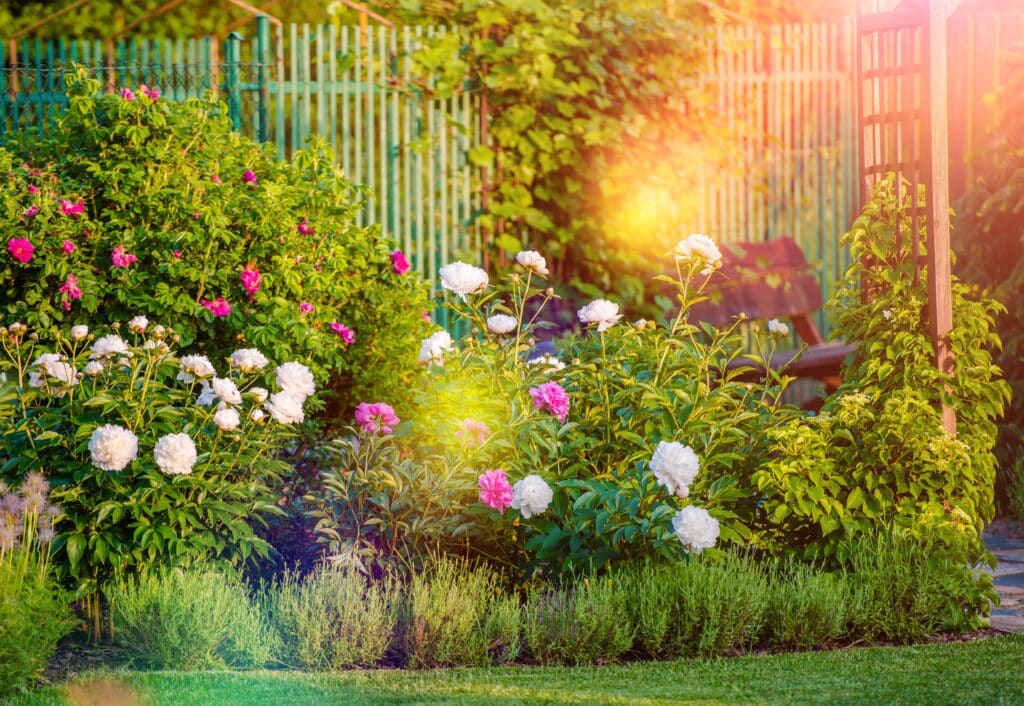 Gartengestaltung für kleine Gärten: So nutzt du jeden Quadratmeter optimal in Kiel & Umgebung 2 Stauden und Gehölze