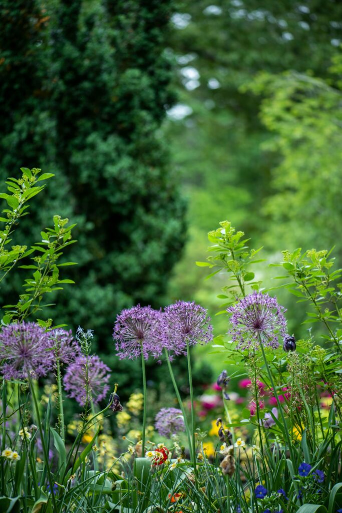 Gartenpflege für Kiel und Umgebung